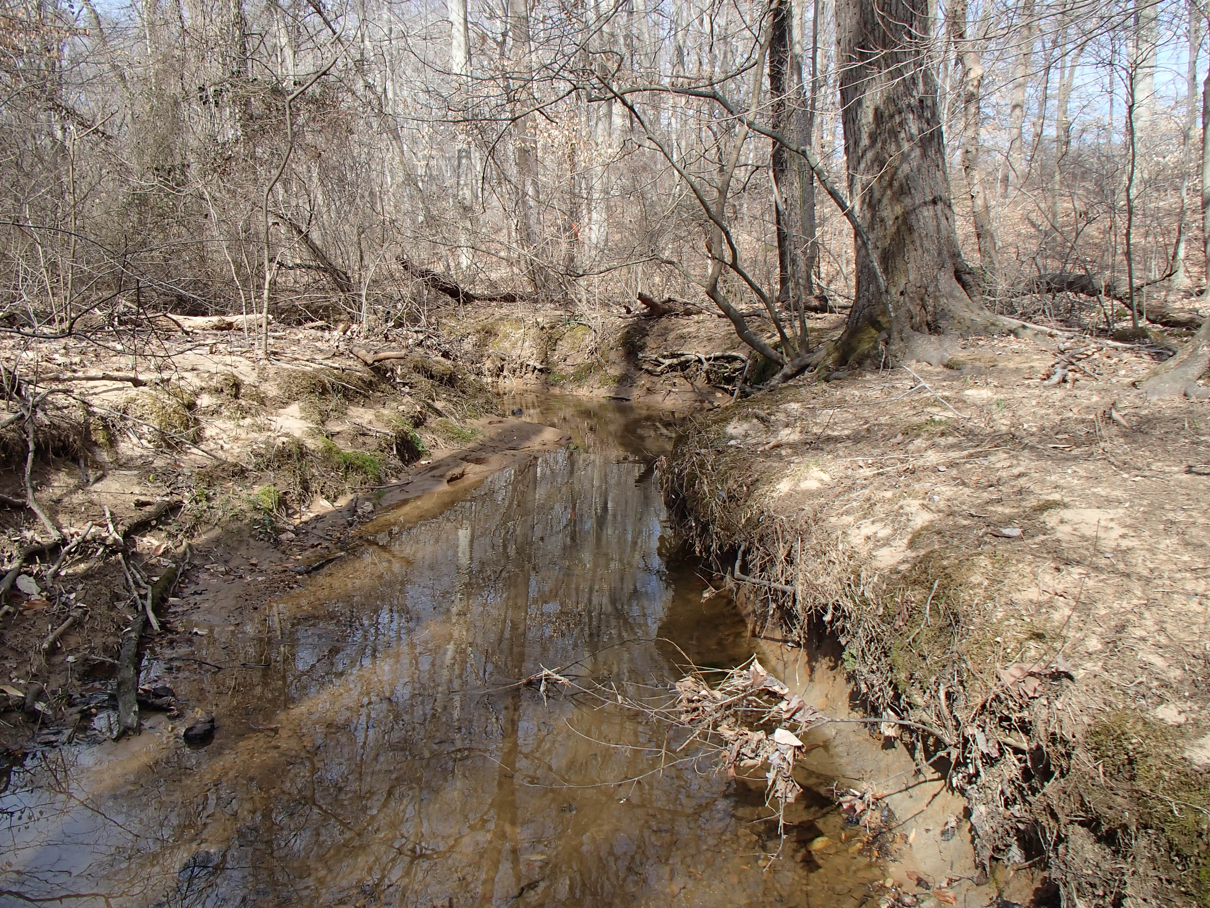 Field photo showing stream conditions at site BELK-109-R-2016_midpoint upstream